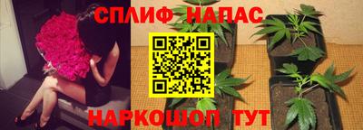 стаф Комсомольск-на-Амуре