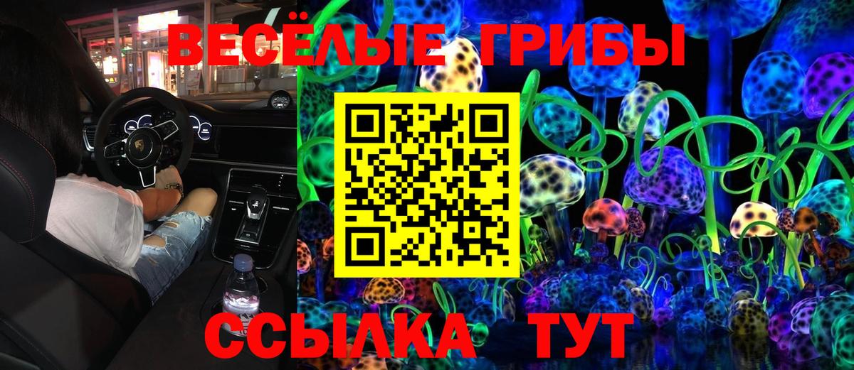 Псилоцибиновые грибы GOLDEN TEACHER  Вход с VPN  Азов 